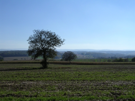 La campagne